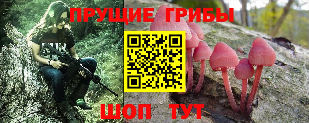 Биробиджан  Псилоцибиновые грибы Cubensis  Вход с VPN  Галлюциногенные грибы MAGIC MUSHROOMS 