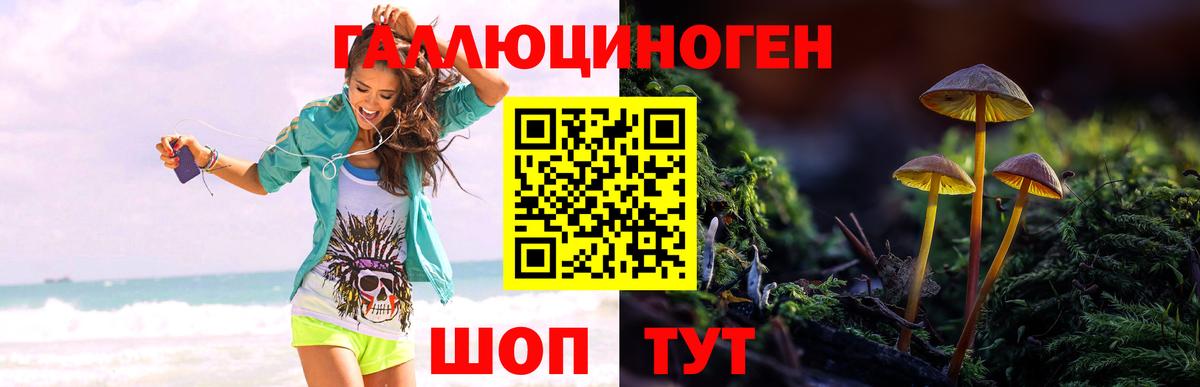 Псилоцибиновые грибы MAGIC MUSHROOMS Биробиджан